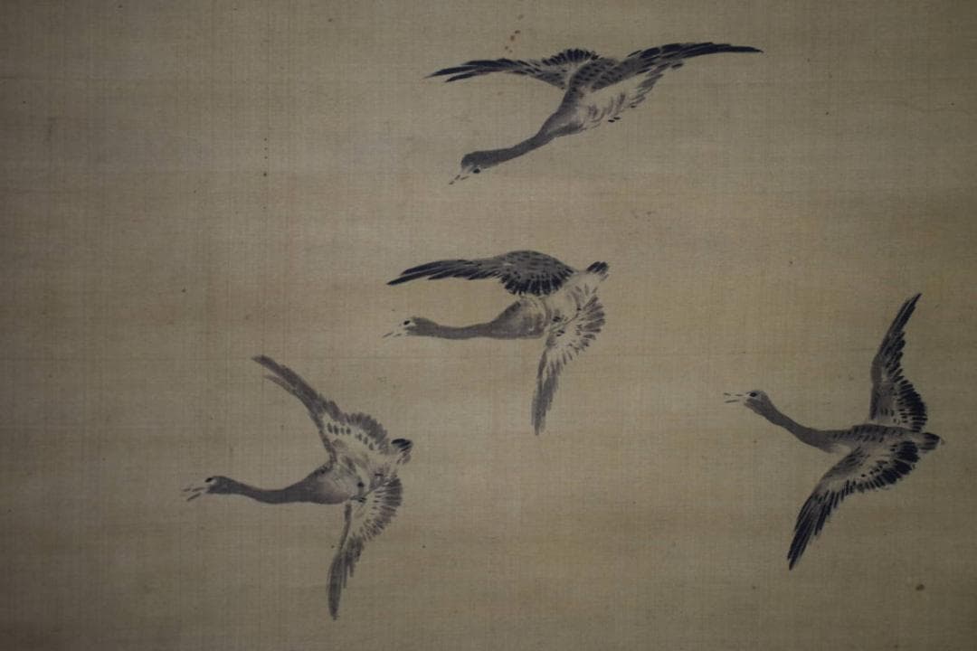 模写/野々村仁清/群雁之図/布袋屋掛軸HG-87