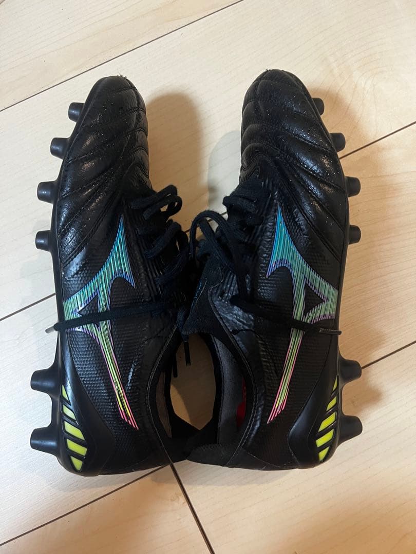 モレリアネオ3β