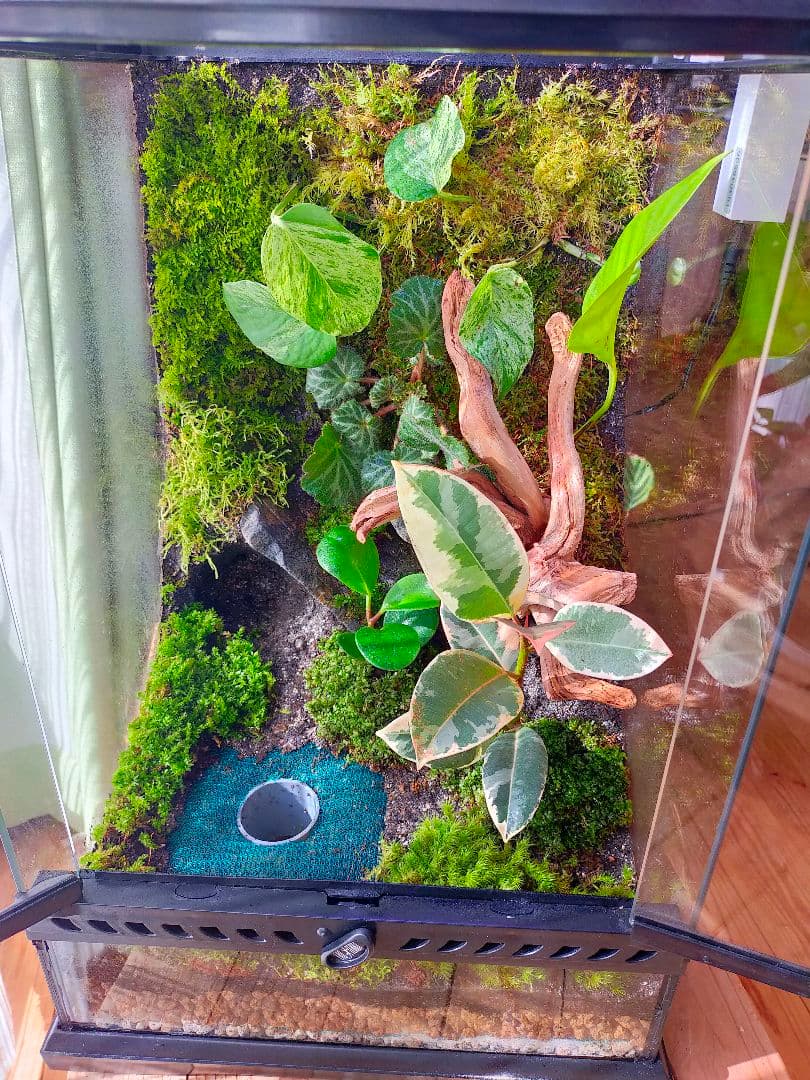 隠れ家付き！大自然の中の飼育箱、