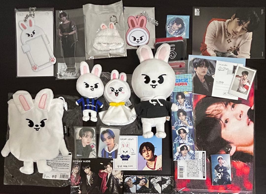 編集あり Stray Kids リノ トレカ グッズ まとめ売り リービット