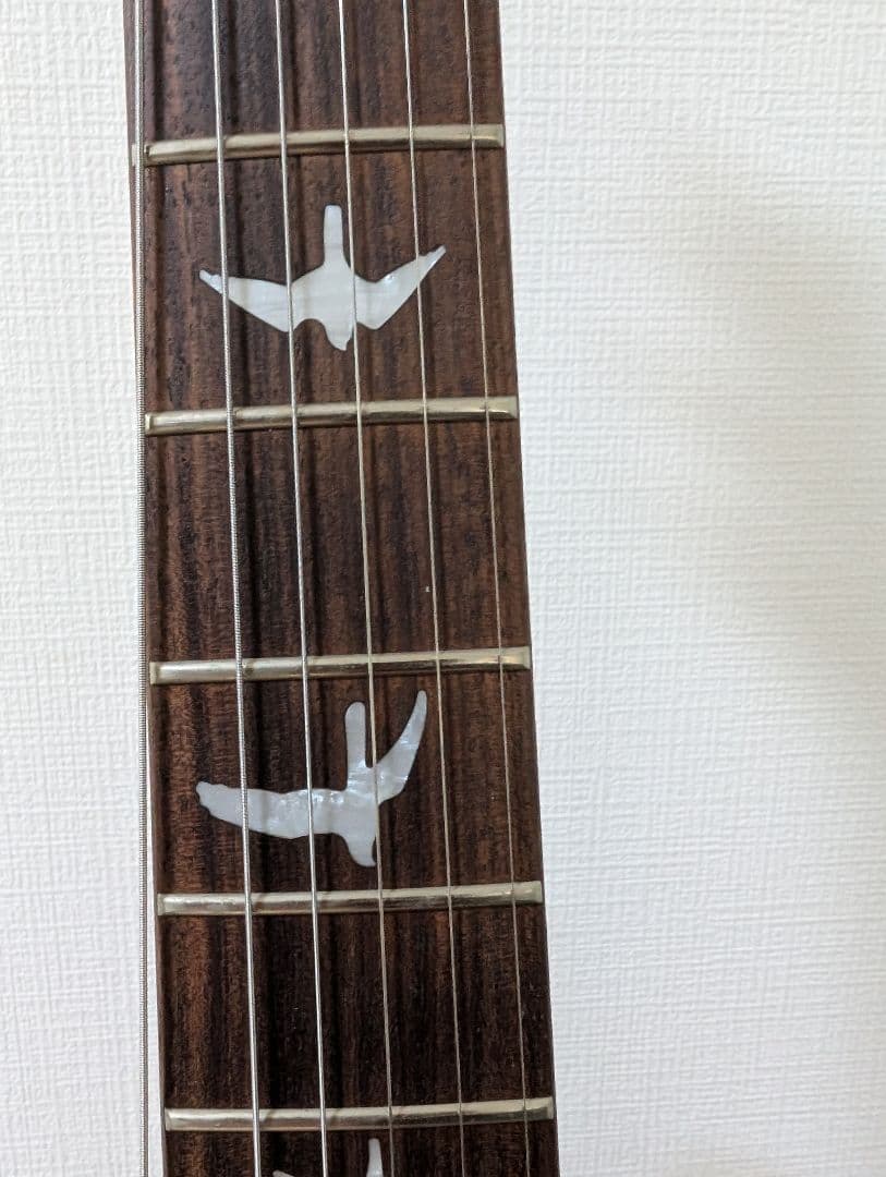 【動作確認済】PRS SE Custom 24 Black　ブラック