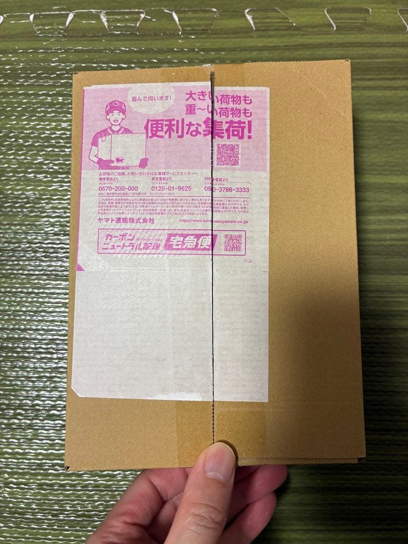 わ*ん様 ポケカ メガドリームex 1BOX