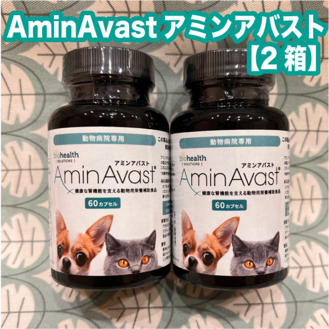 アミンアバスト300mg 犬猫用　60カプセル　2箱
