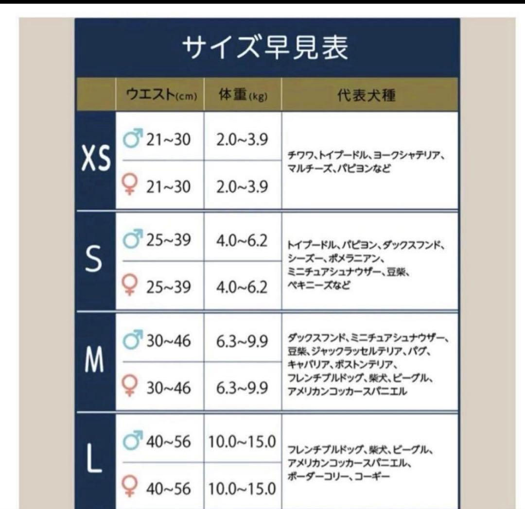 うんコロキャッチ　XS 3枚セット