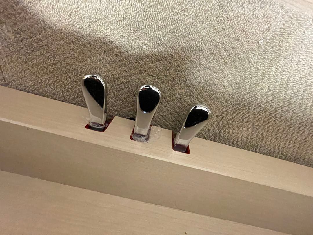 【イーサン】19年製【美品・高級モデル】CLP-645クラビノーバ