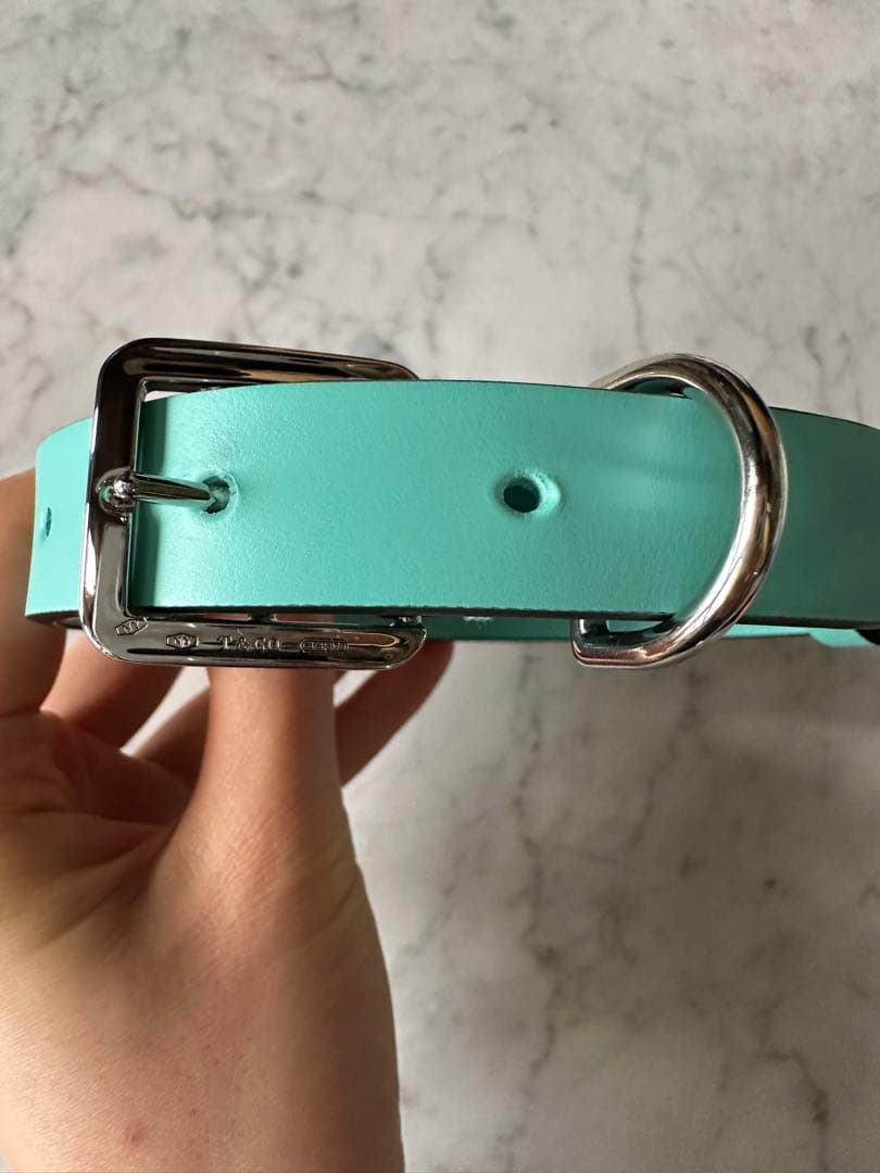Tiffany & Co. ティファニーブルー レザー首輪mサイズ (未使用品)