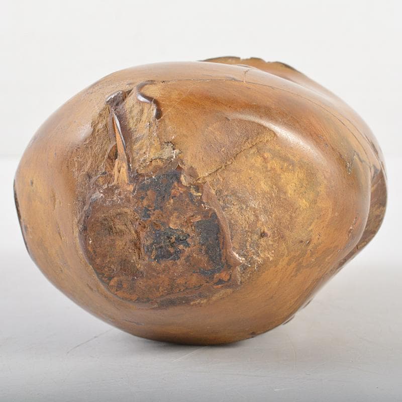 天然石　鑑賞石　安倍川　鉄丸石　置物　唐木台付　C　R7096