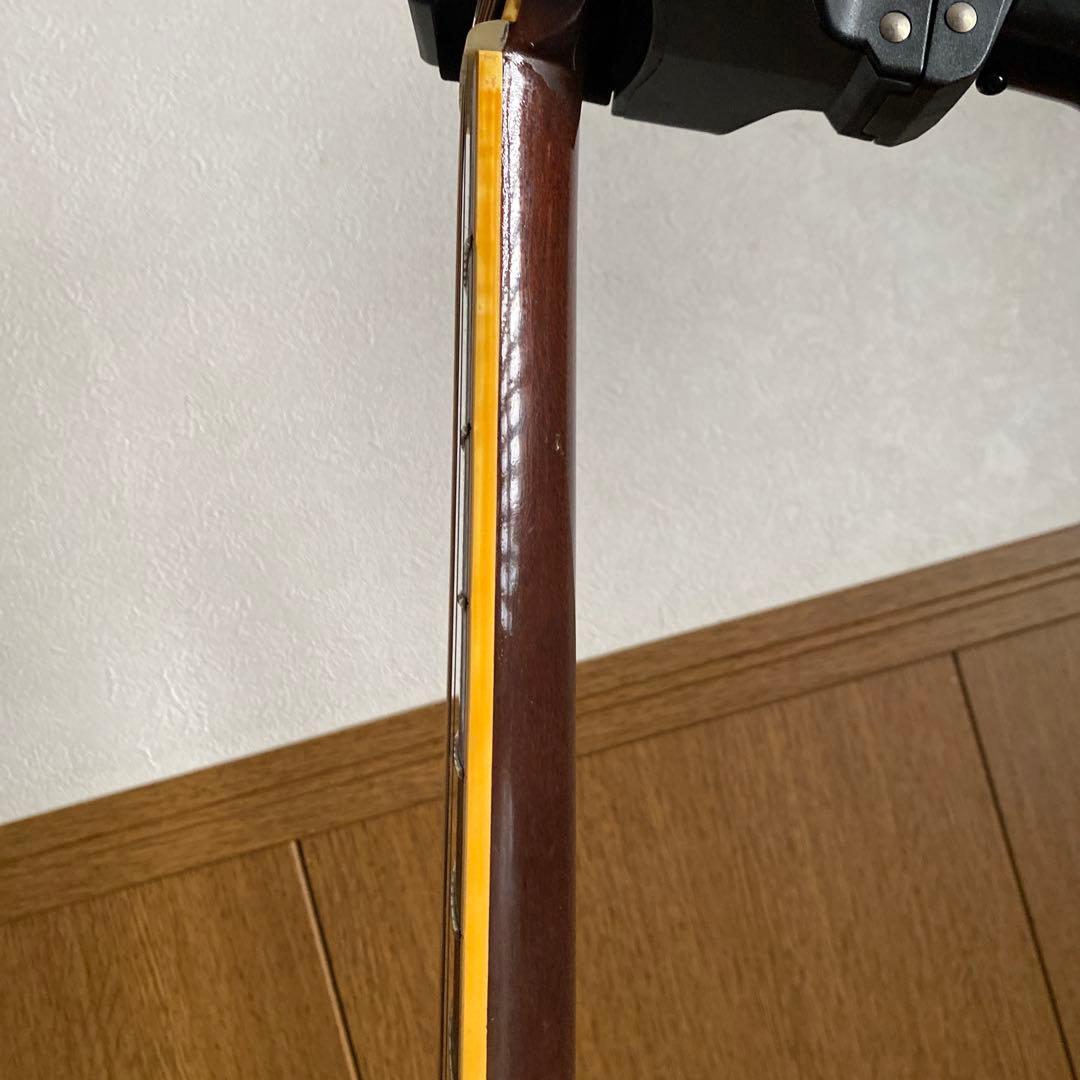 MC　希少Cat's Eyes CE-800 前期ハカランダ