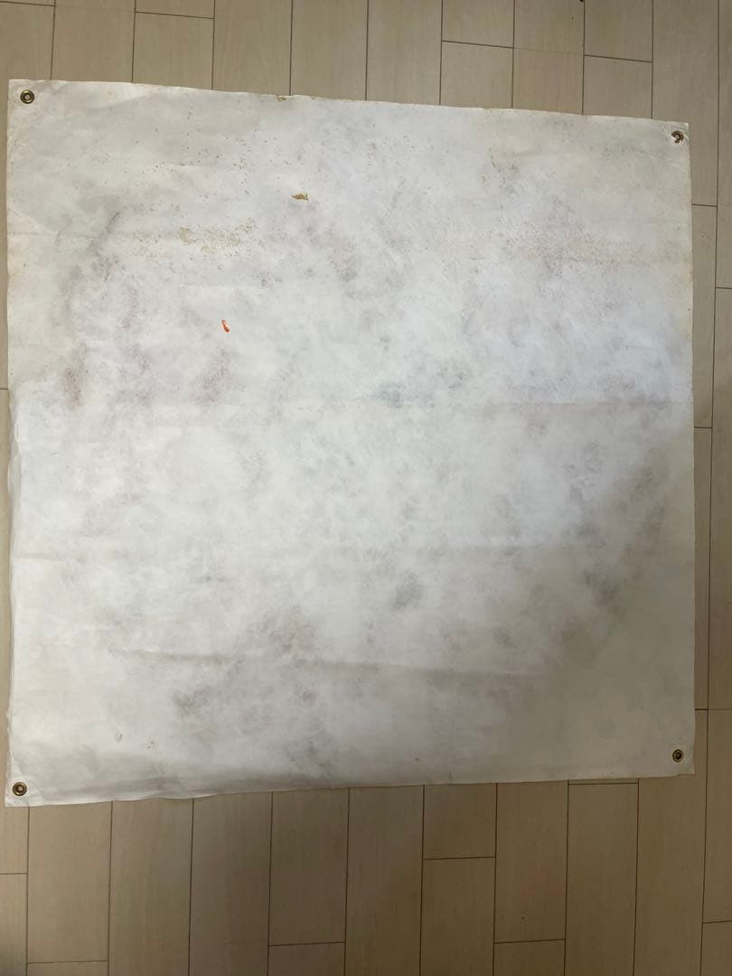 zorlac ポスター タペストリー　バナー　鬼レア　thrasher