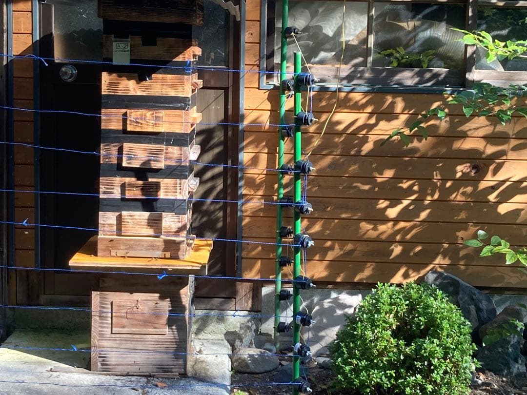 日本ミツバチのハチミツ　たれ蜜　300g×3個 ❣️送料込み‼️ ¥8,640