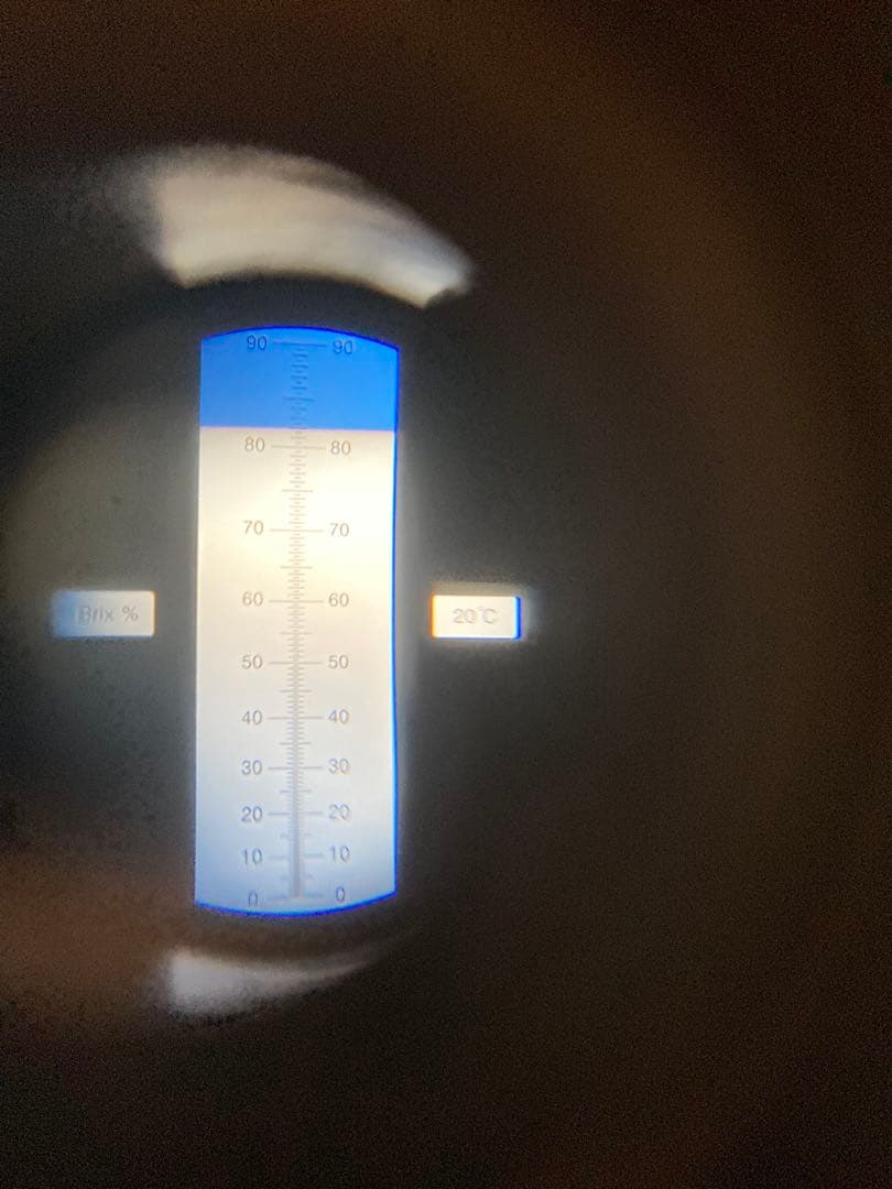 日本ミツバチのハチミツ　たれ蜜　300g×3個 ❣️送料込み‼️ ¥8,640