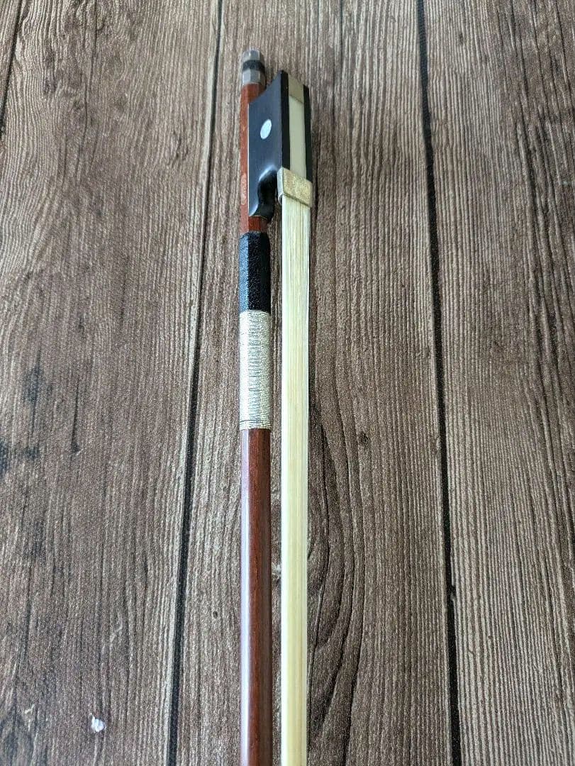 あゆみPygmalius Derius Giapponese 4/4