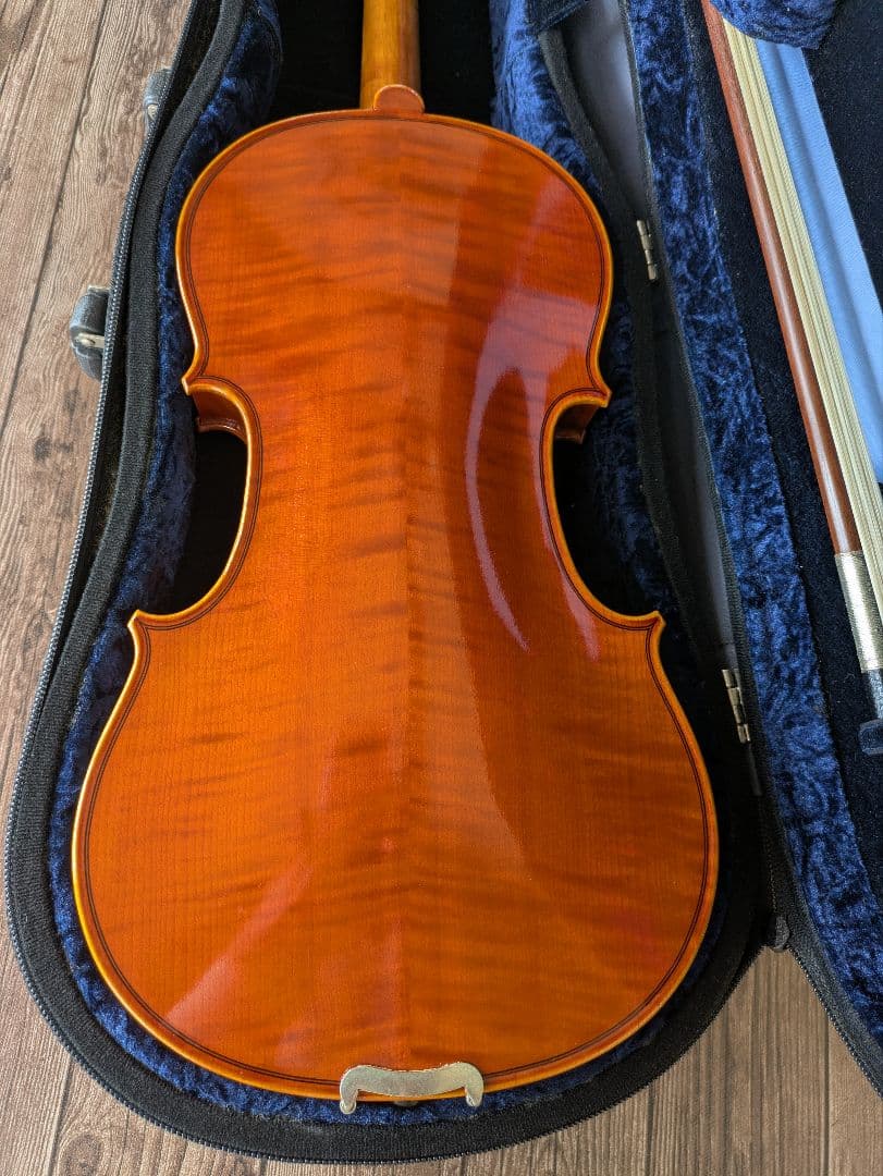 あゆみPygmalius Derius Giapponese 4/4