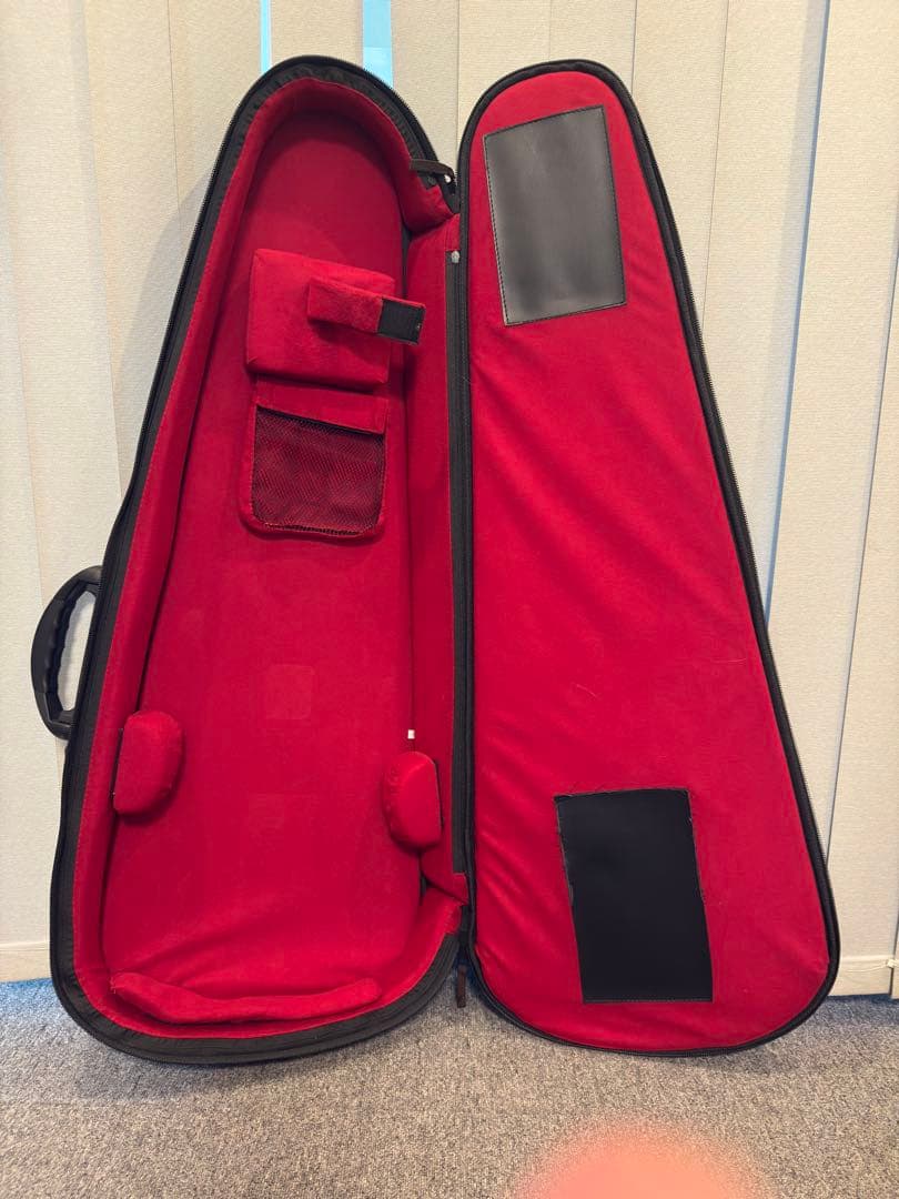 ギター Vanzandt STV-R1