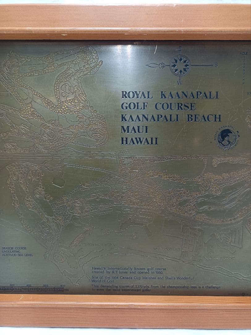 ・マウイ島　ロイヤル　カアナパリゴルフコース　銅板レリーフ　by LENOX