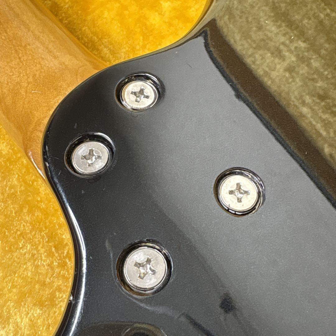 ギター ryoga SKATER MOD