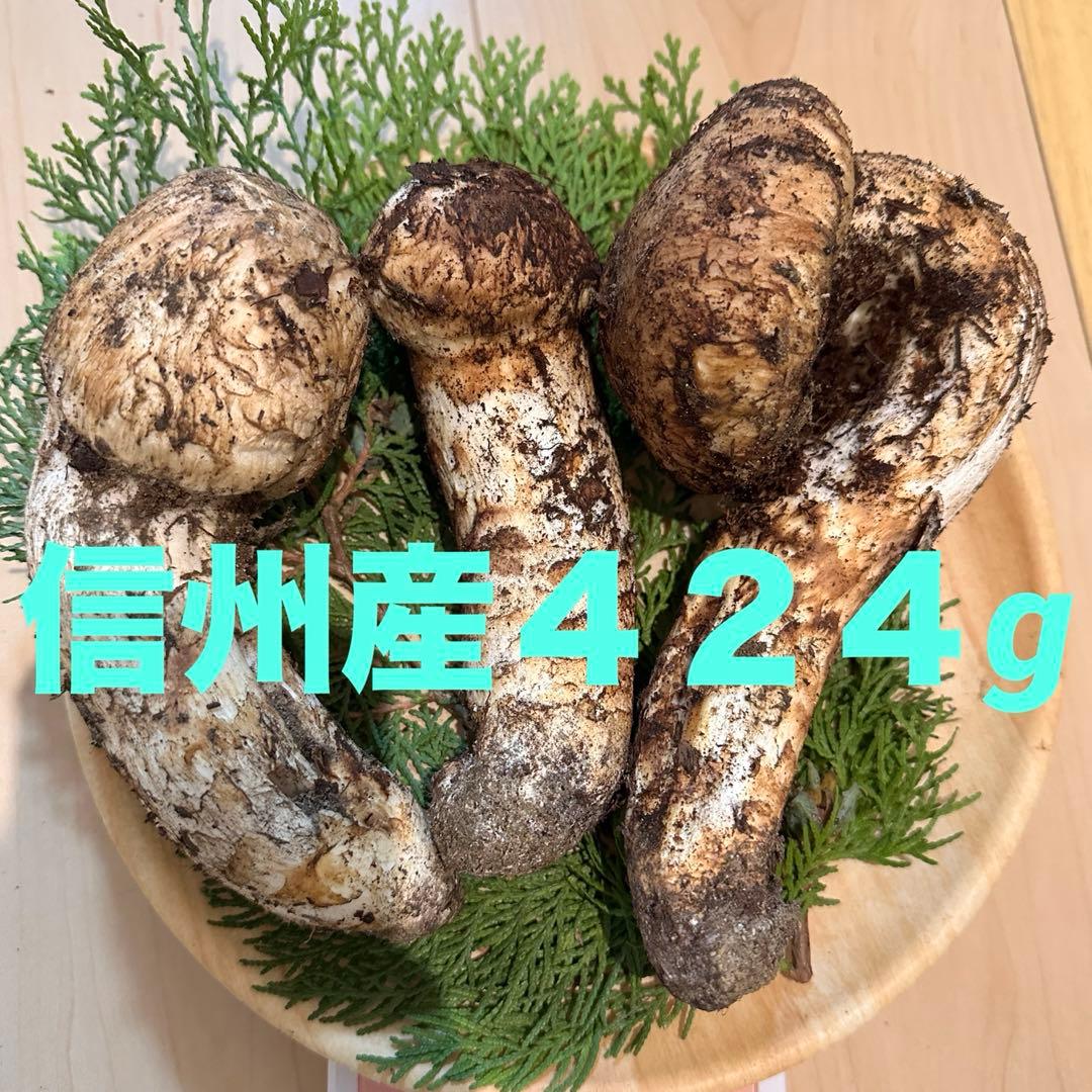 国産松茸424g【そろそろ最終】