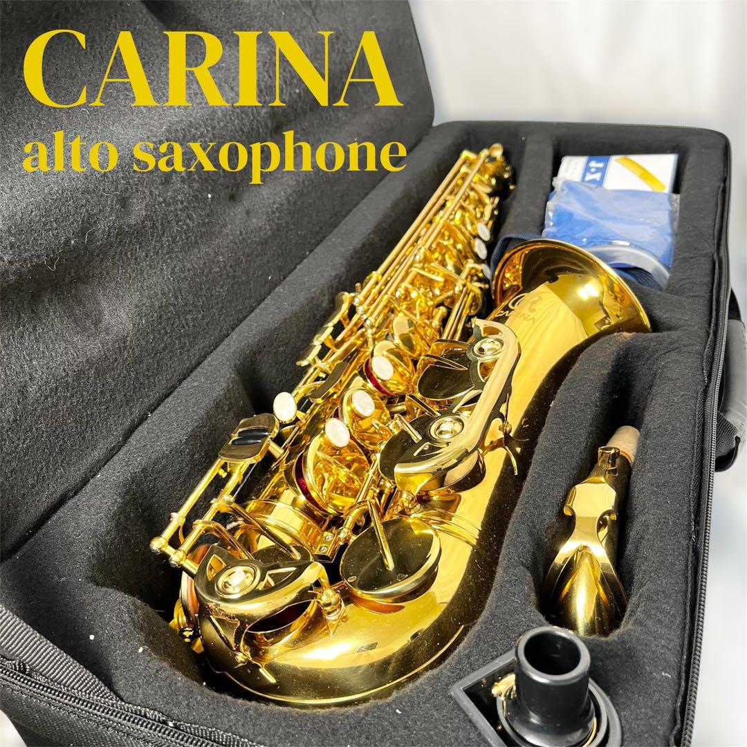 CARINA アルトサックス ケース付