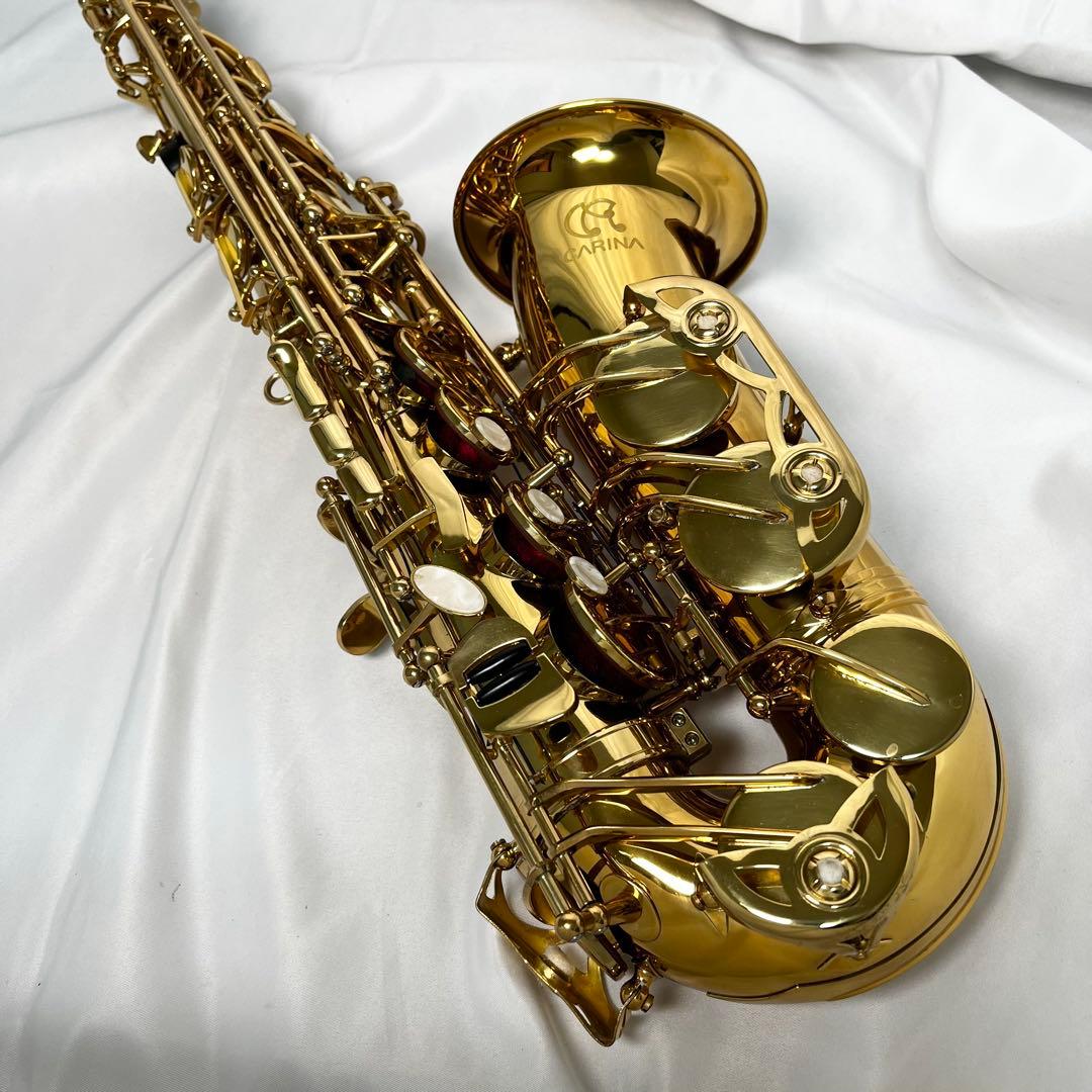 CARINA アルトサックス ケース付