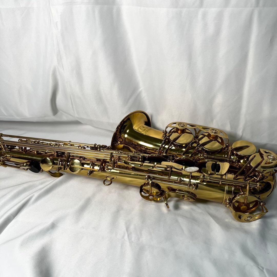 CARINA アルトサックス ケース付