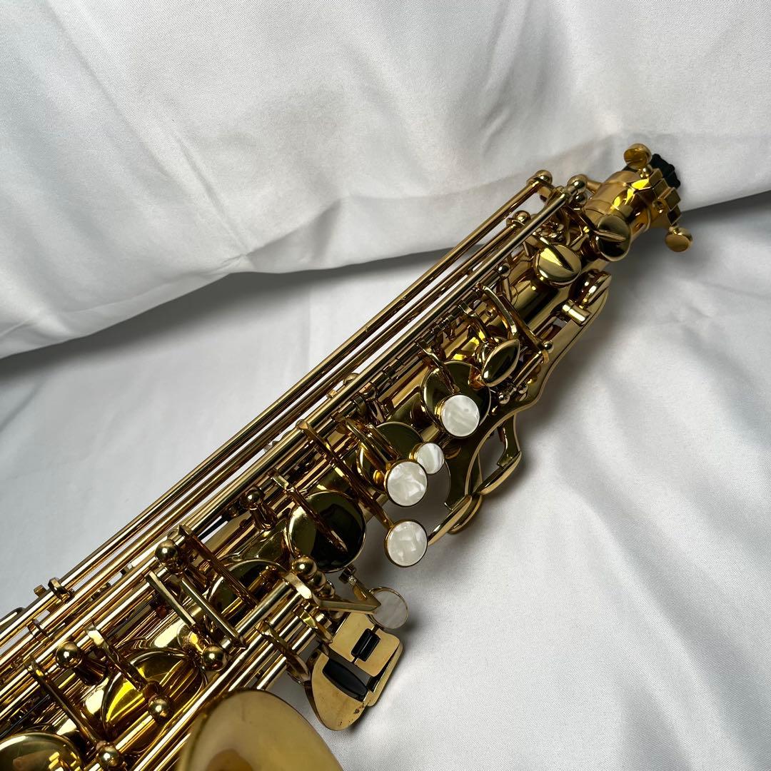 CARINA アルトサックス ケース付