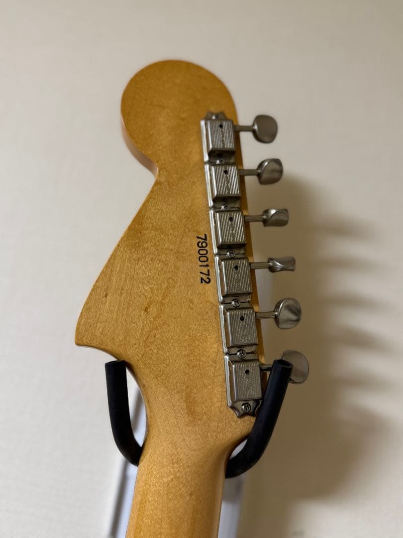 Navigator jaguar サンバースト