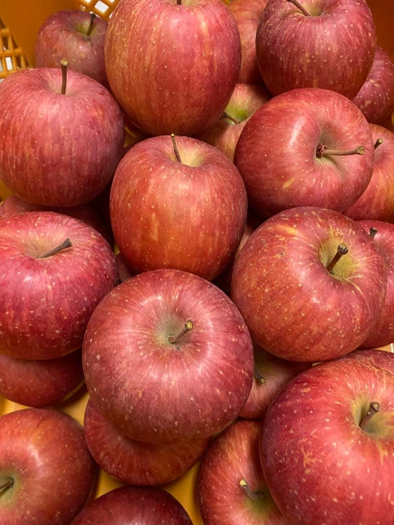 山形県産　厳選サンふじ3kg 3箱同梱その②