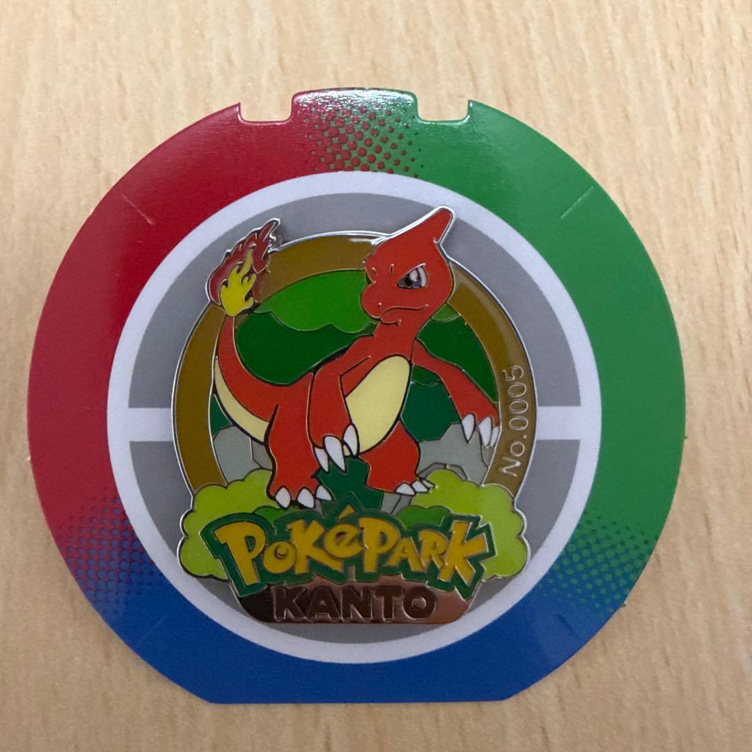 ポケパーク カントー ヒトカゲ リザードピンバッジ ピンズセット　限定品