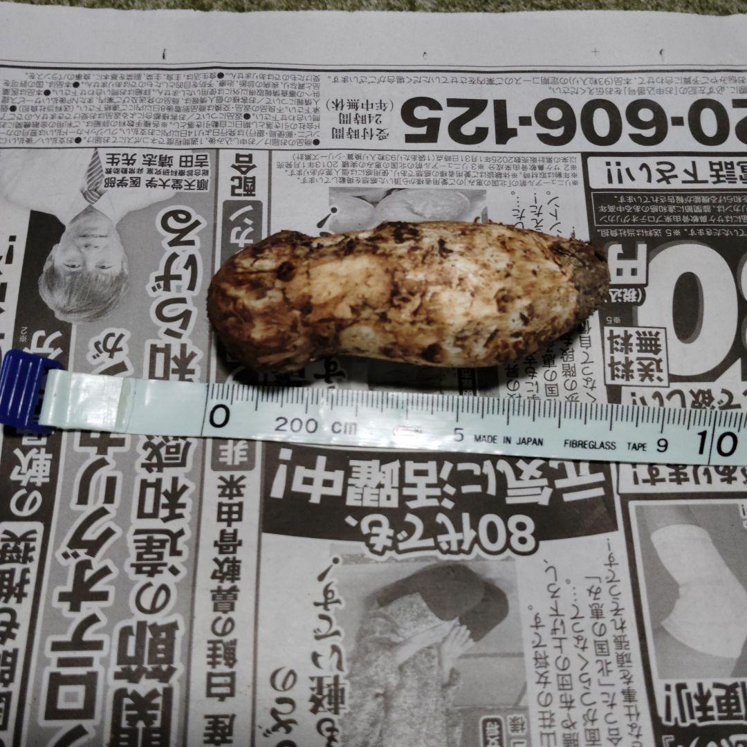 岩手県北産松茸335グラム、アミタケセット (かずさん専用)