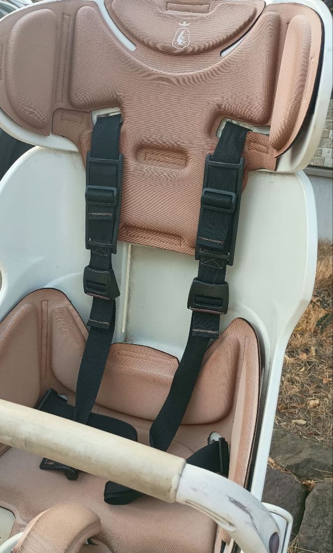 ブリジストン　ビッケ　ポーラーe