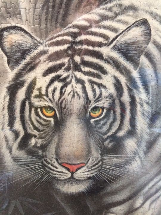 ホワイトタイガー ジグソーパズル完成品