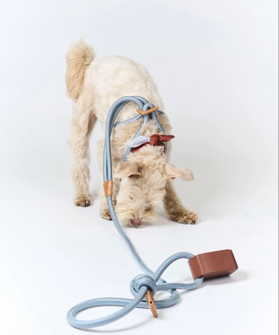 boo'oh 犬用 ハーネス Ray Harness デコピン　大谷