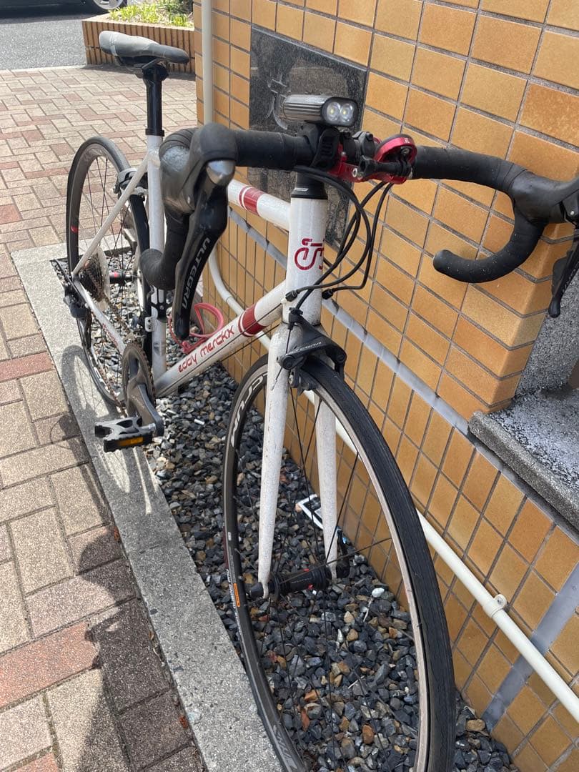 エディ・メルクスHAGELAND 中古