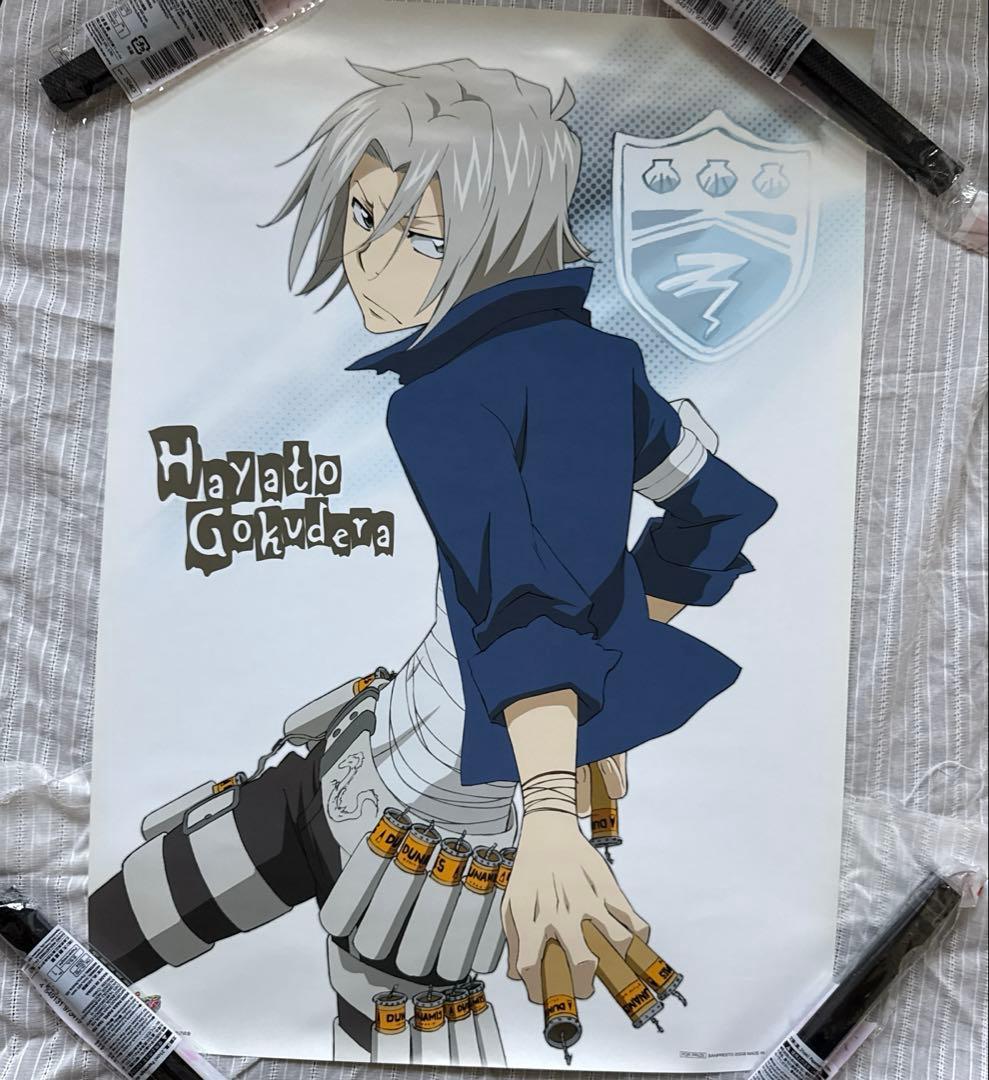 希少 家庭教師ヒットマンREBORN ポスターコレクション ポスガチャ10枚