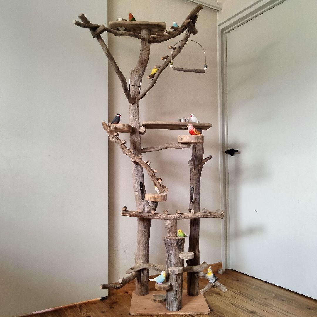 ことり バードアスレチックジム大型 天然木 自然木 流木 止まり木 インコ