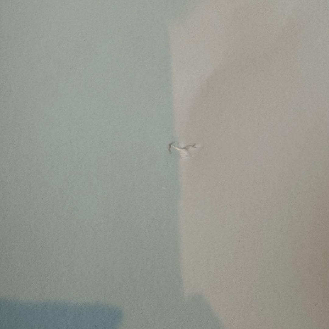 【非売品】パリオリンピックVIP限定ポスター　1枚