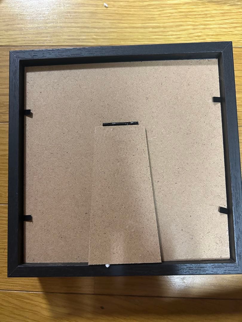 Angel's Wings 本物の蝶の標本