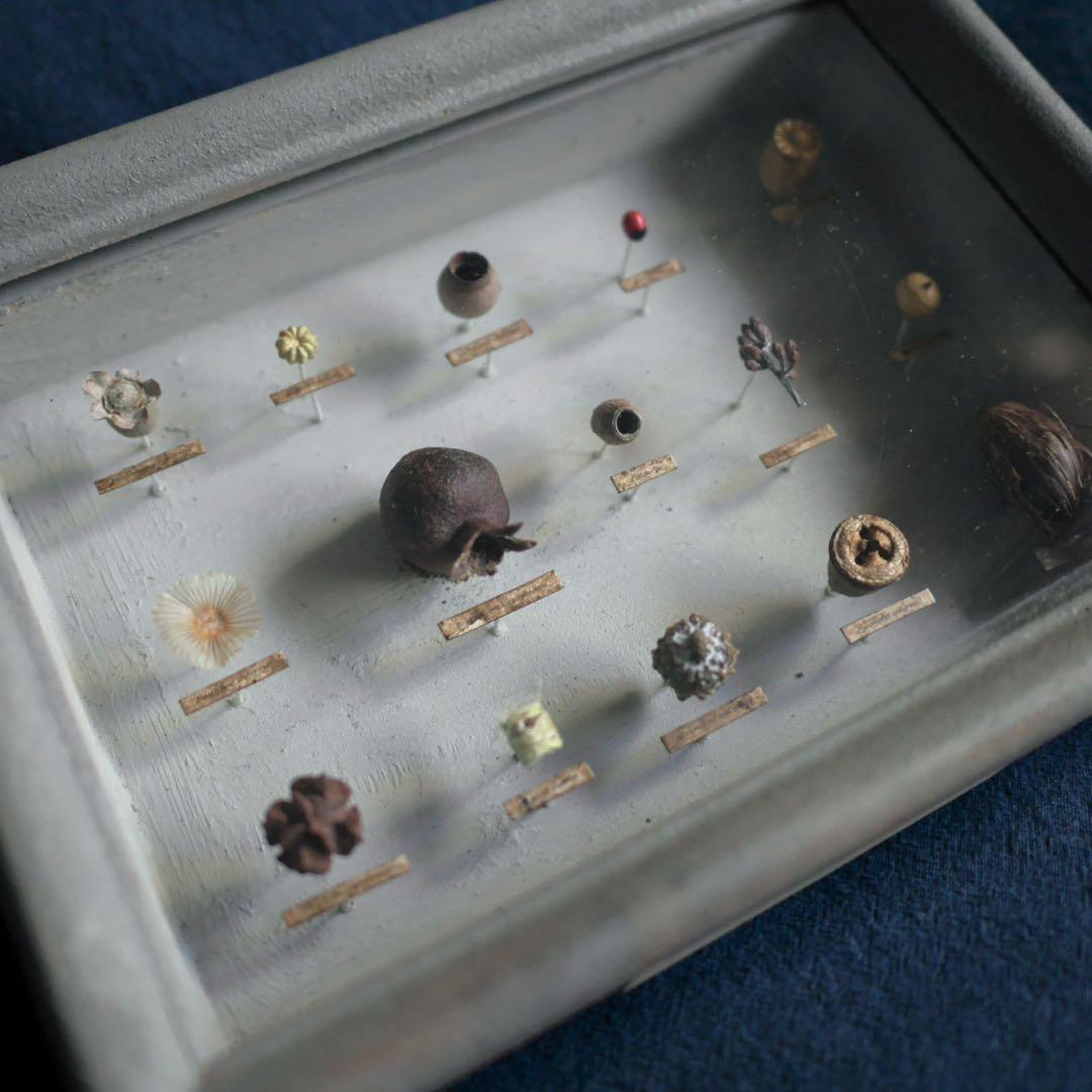 西別府久幸 「森のオトシモノ」