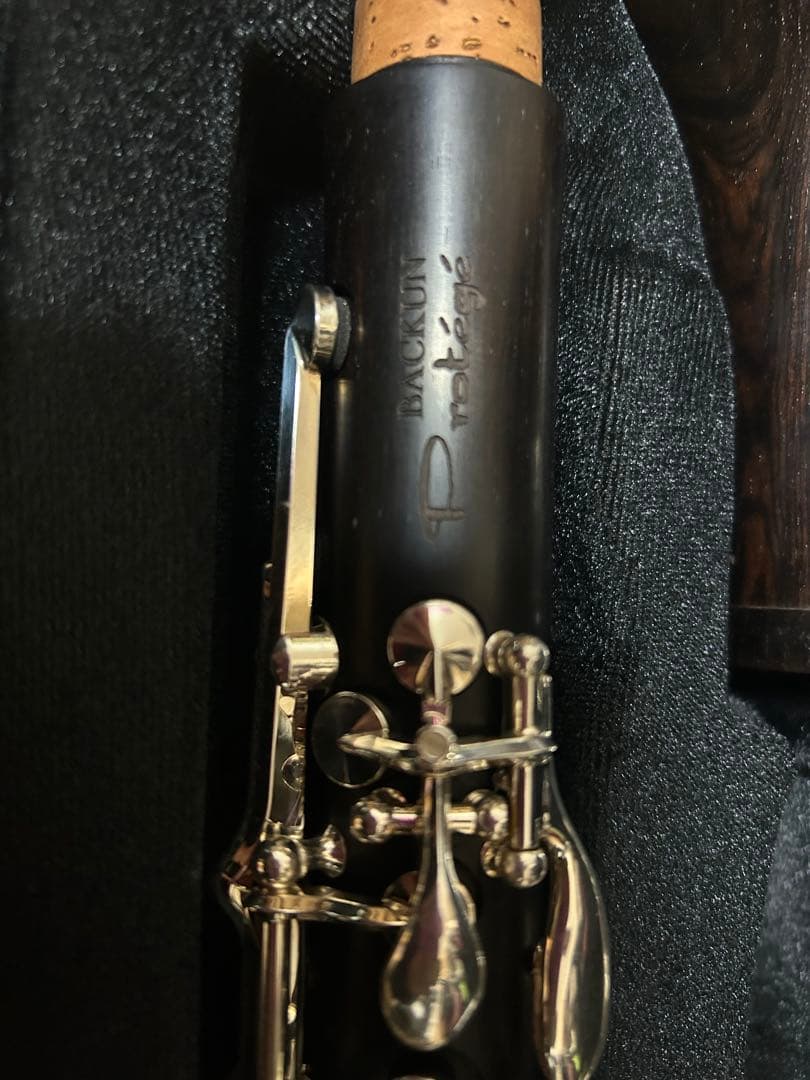 クラリネット　Backun Protégé