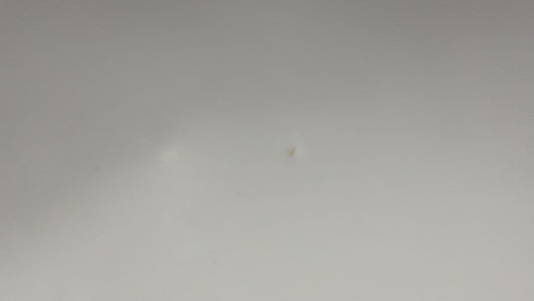 【最終値下げ】SANTA CRUZ Pumpkin 5'8\"