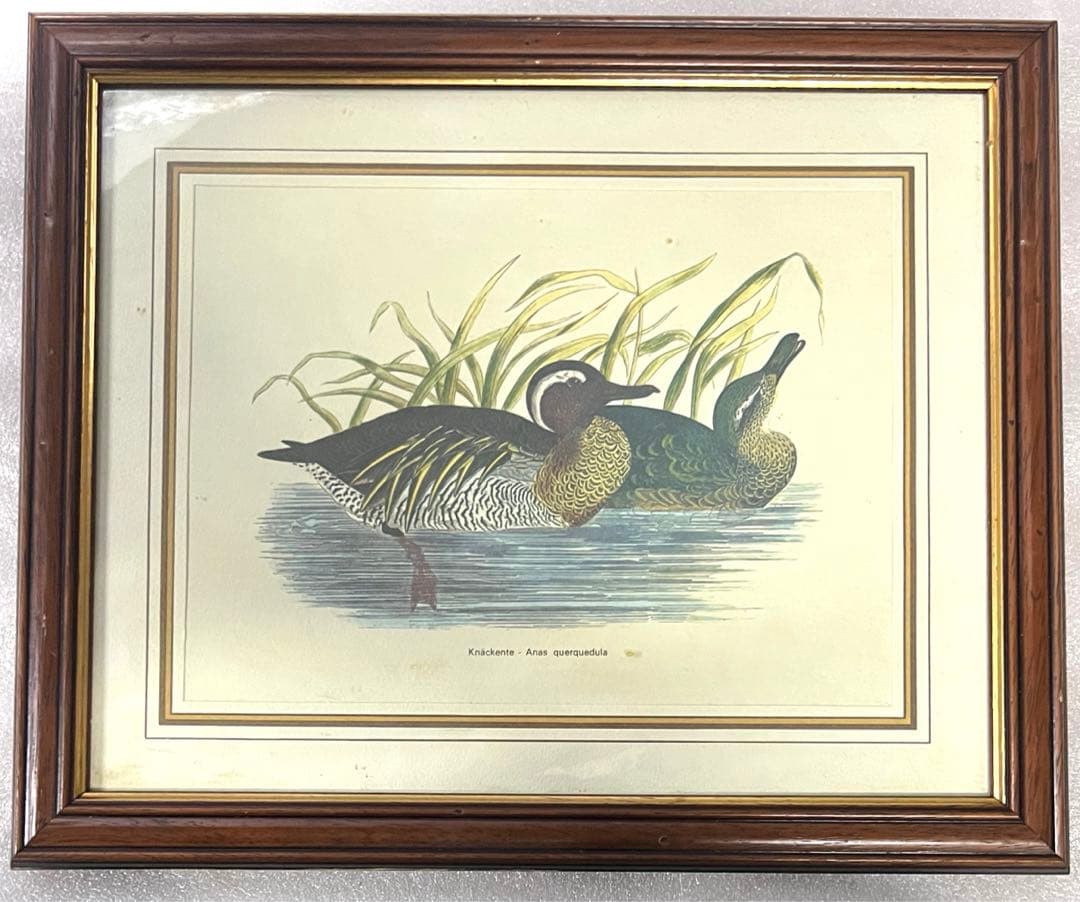 カモ画 アンティーク 調額縁 イタリア 輸入 額絵 天然木 フレーム インテリア