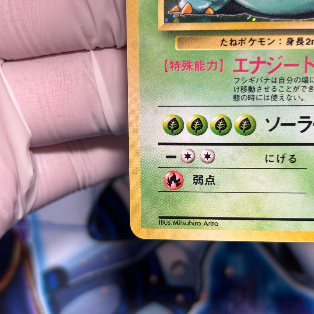 【極美品】旧裏 フシギバナ ★ 第1弾拡張パック