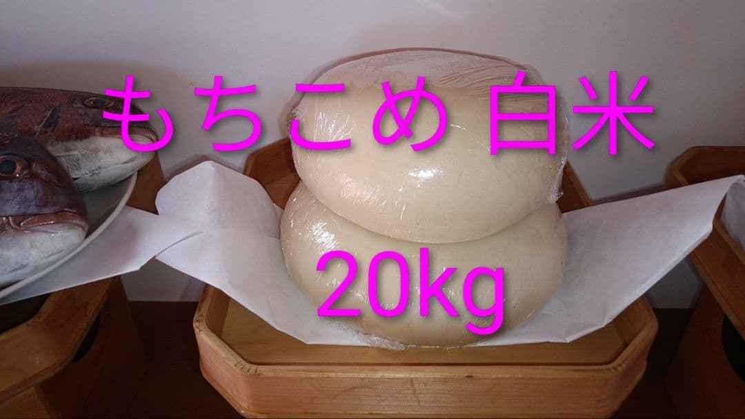 【色選４回、リピーター続出】静岡県産餅米まんげつもち」白米（玄米変更可）20kg