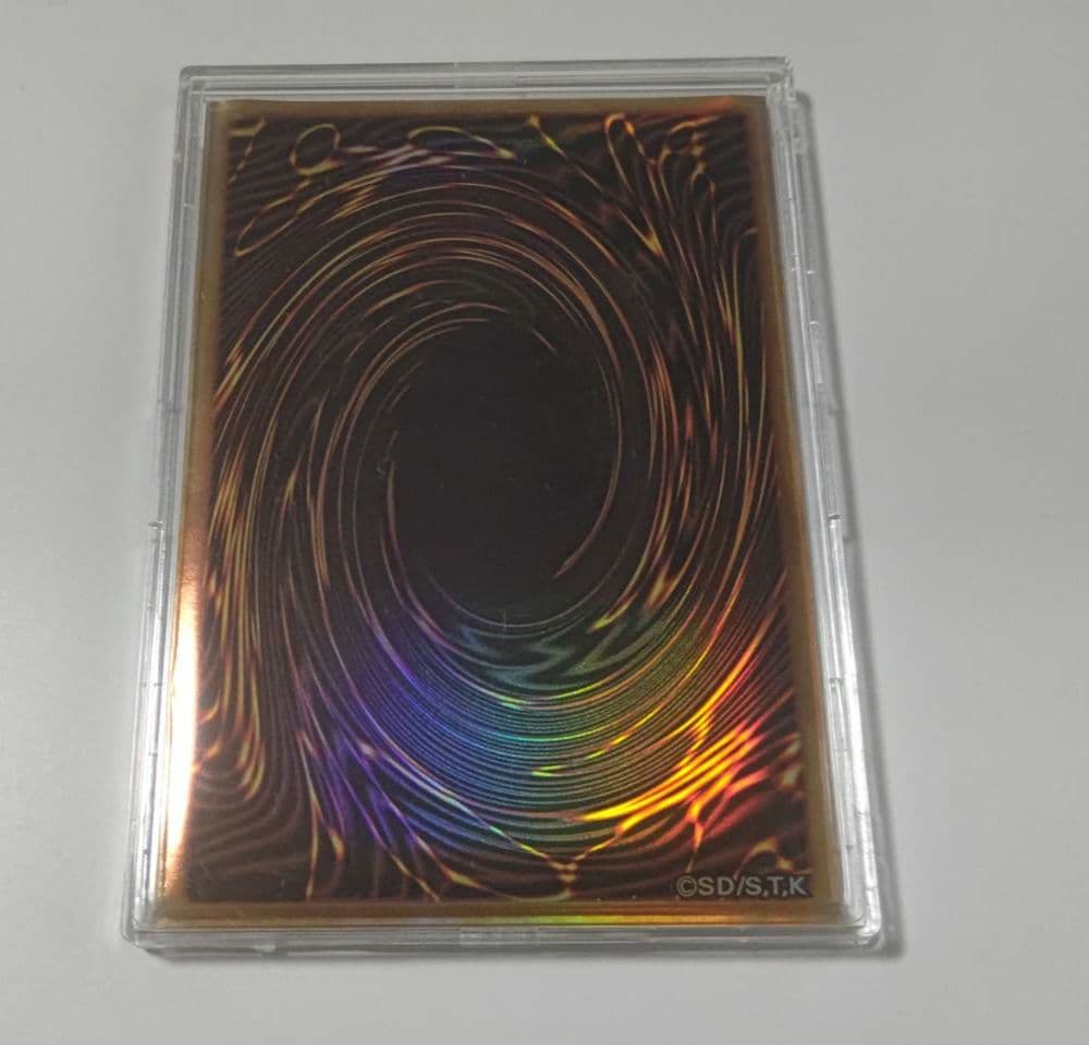 【即購入OK】 The Fallen & The Virtuous プリシク