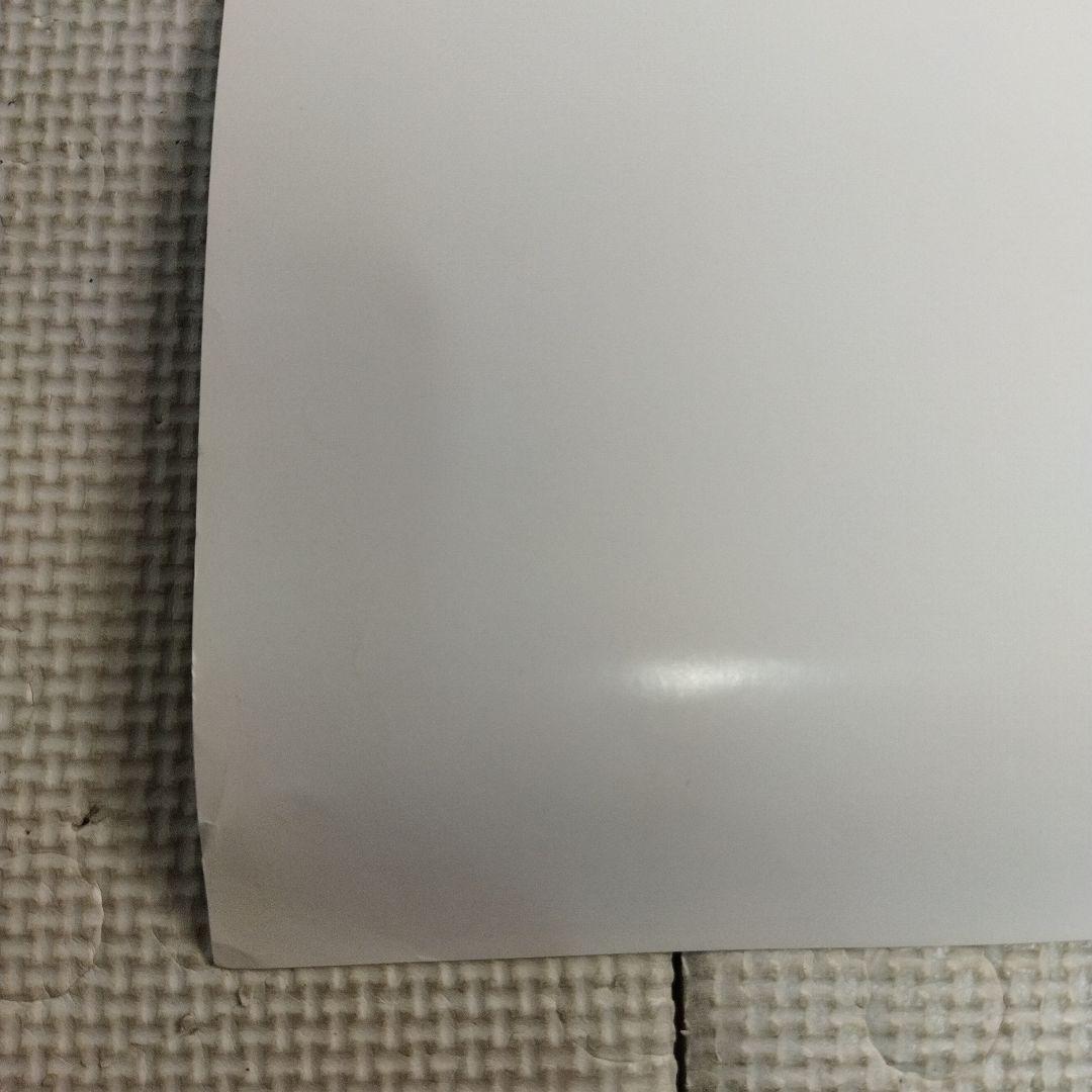 資生堂　セリア・キャロン　ポスター サンフレア　この夏　その気