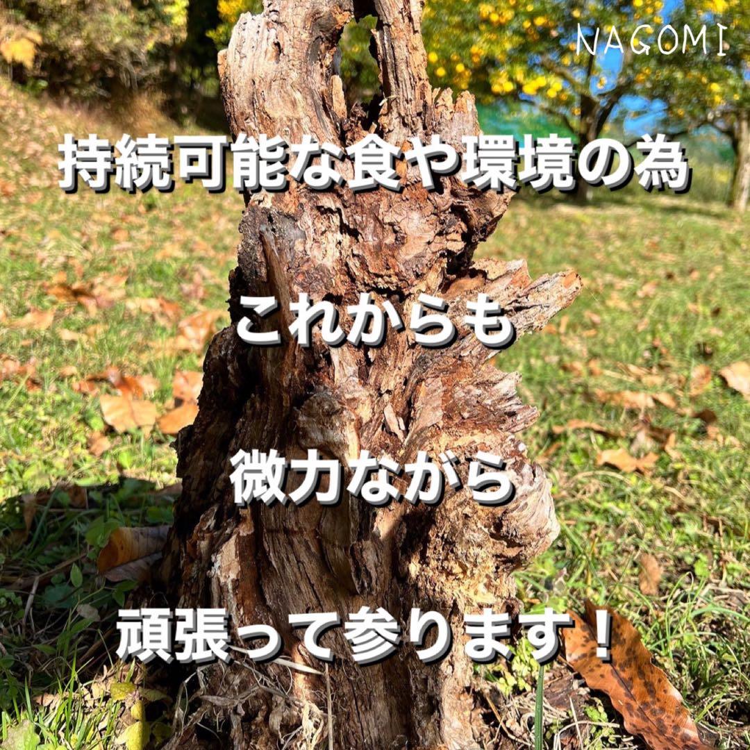 20年間農薬＆化学肥料不使用のNAGOMIの柚子10kg