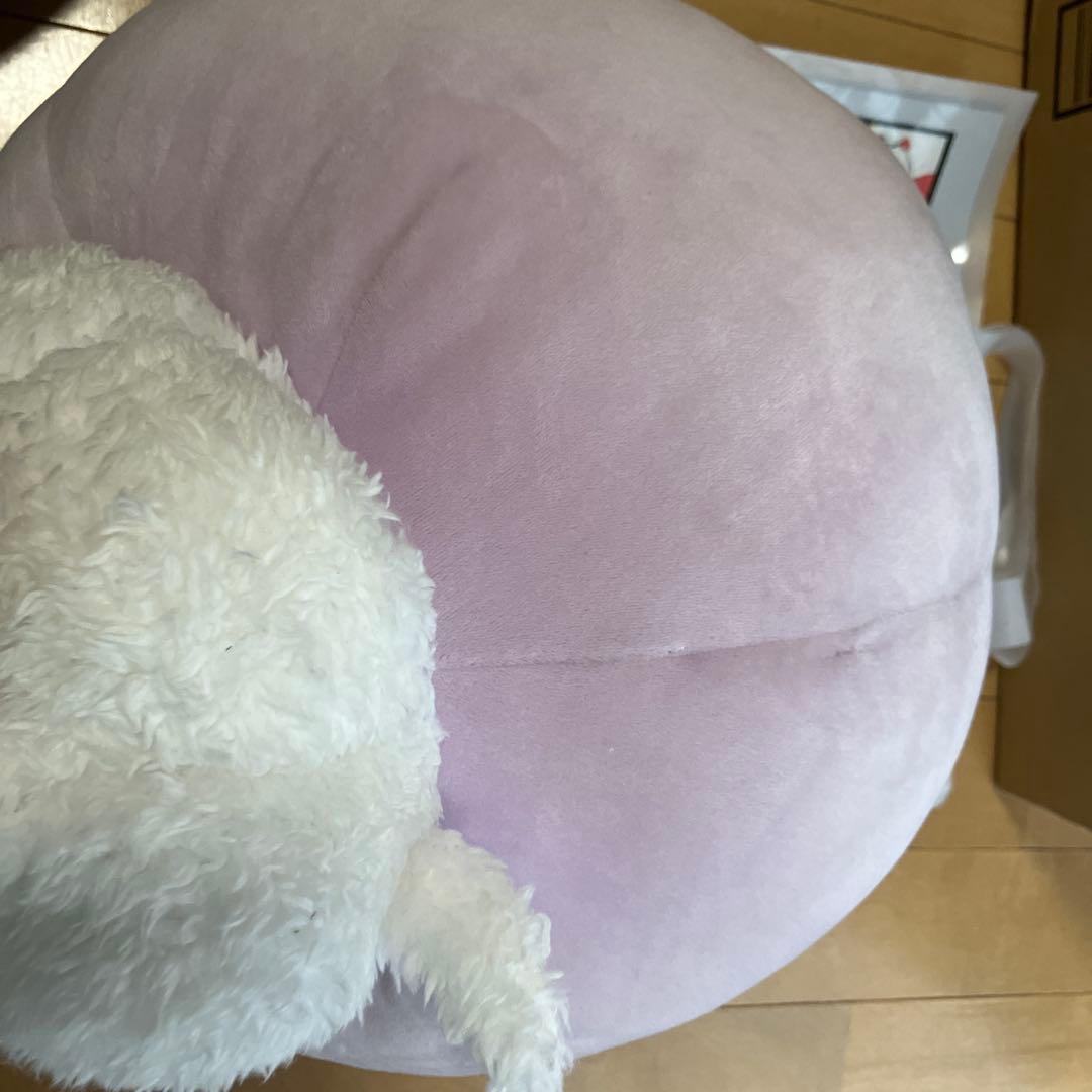 ポケモン　ポケセン　フワンテ　もっちりまんまる ぬいぐるみ　ポケモンキャンバス