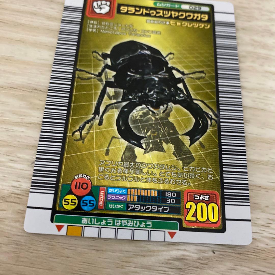 ムシキング　タランドゥスツヤクワガタ