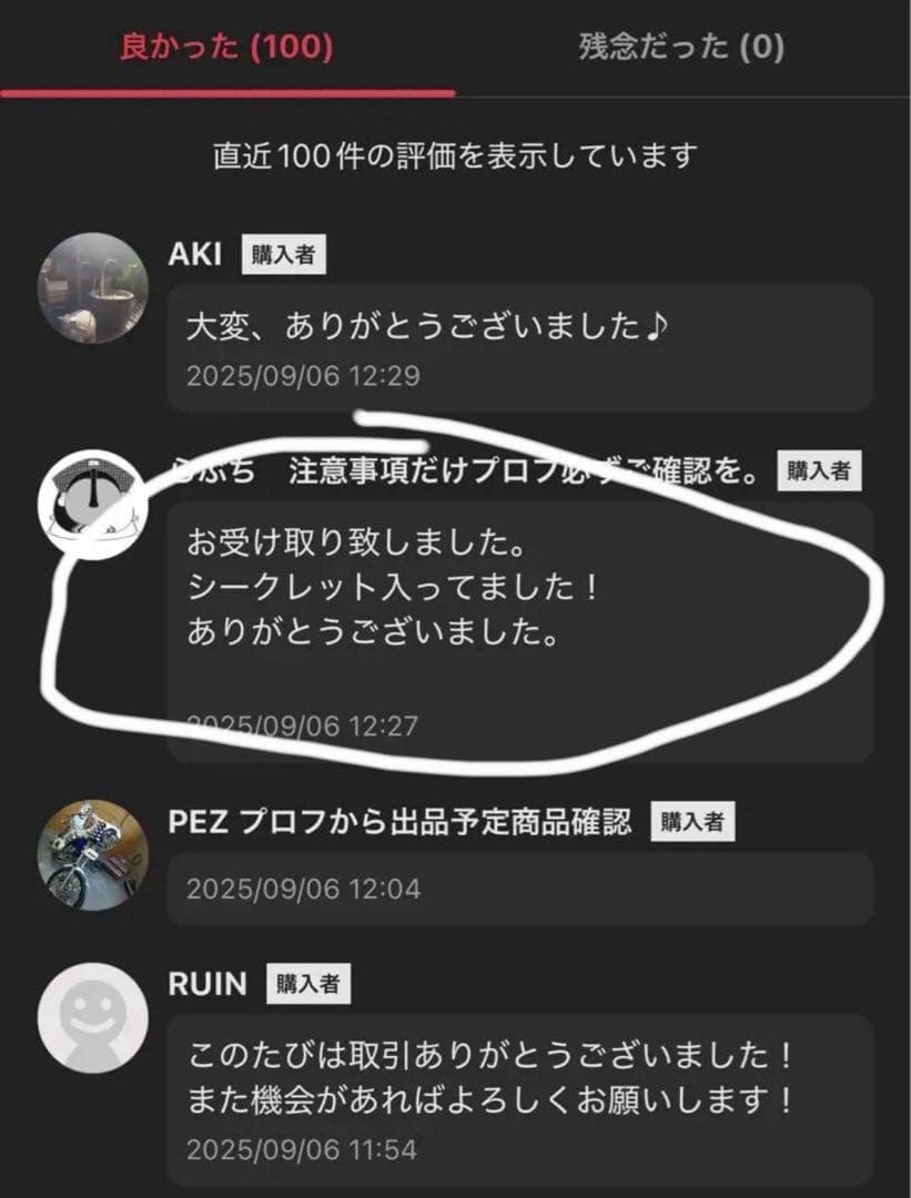 正規品・未開封】Labubu Big into Energy 2箱