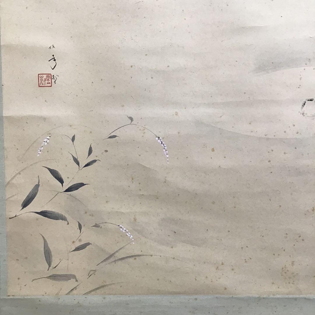 K茶道具　掛軸　「水邊(池蛙)」　双年作　共箱(一部削れ有り)　S215KJ